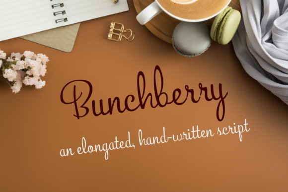 Bunchberry: A Script Amp Review