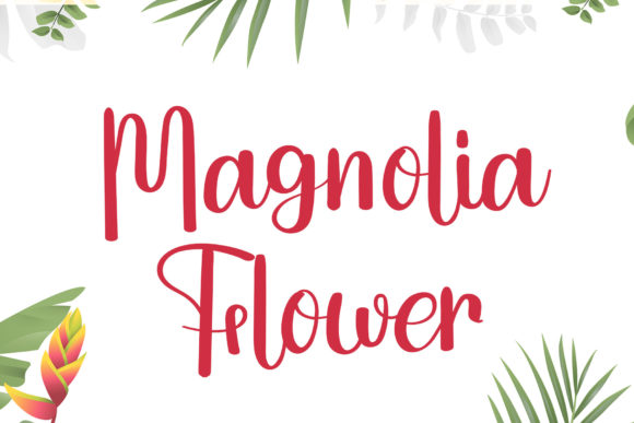 Magnolia Flower: A Flowing Script for Creative Projects