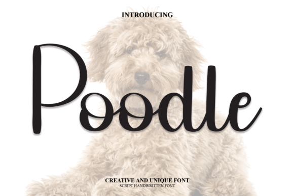 Poodle Font: A Sweet Script for Authentic Branding