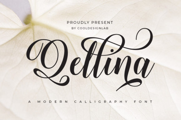 Qellina: The Elegant Script Font for Handmade Brands