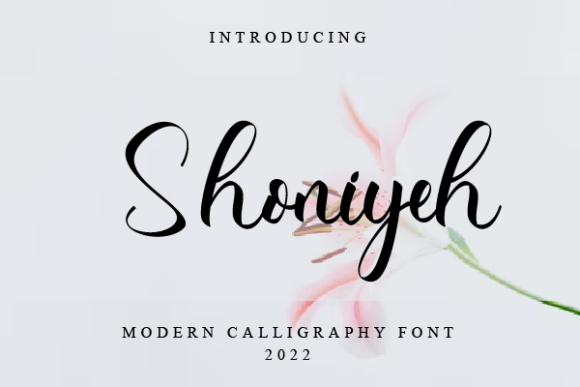 Shoniyeh: The Script Font That Elevates Brand Identity